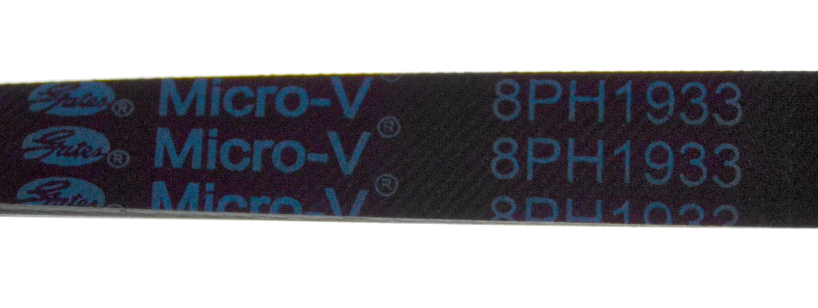 Poly V-Belt