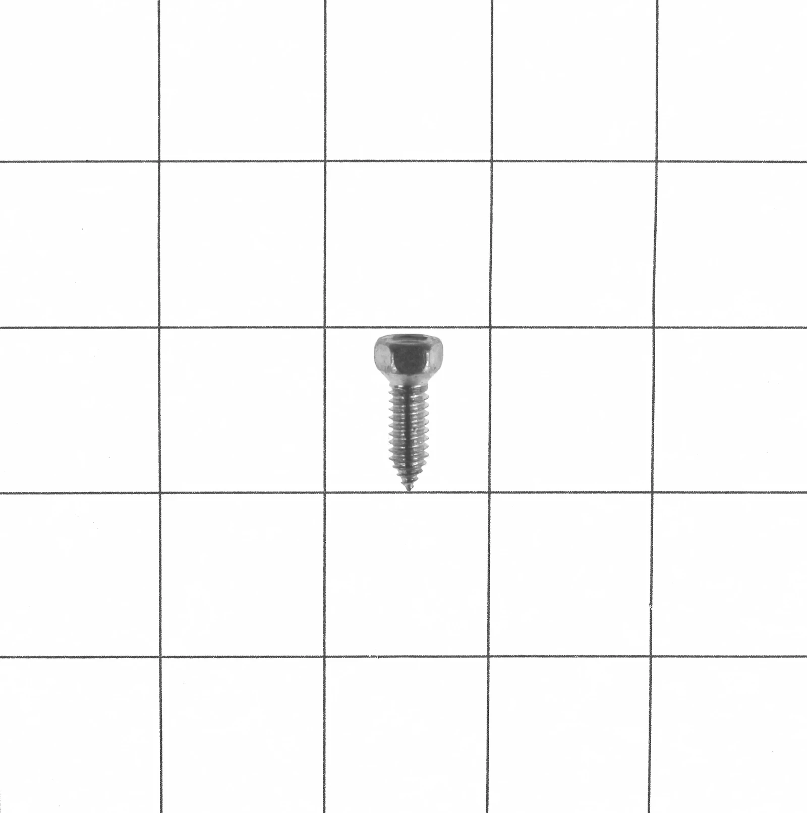 Screw
