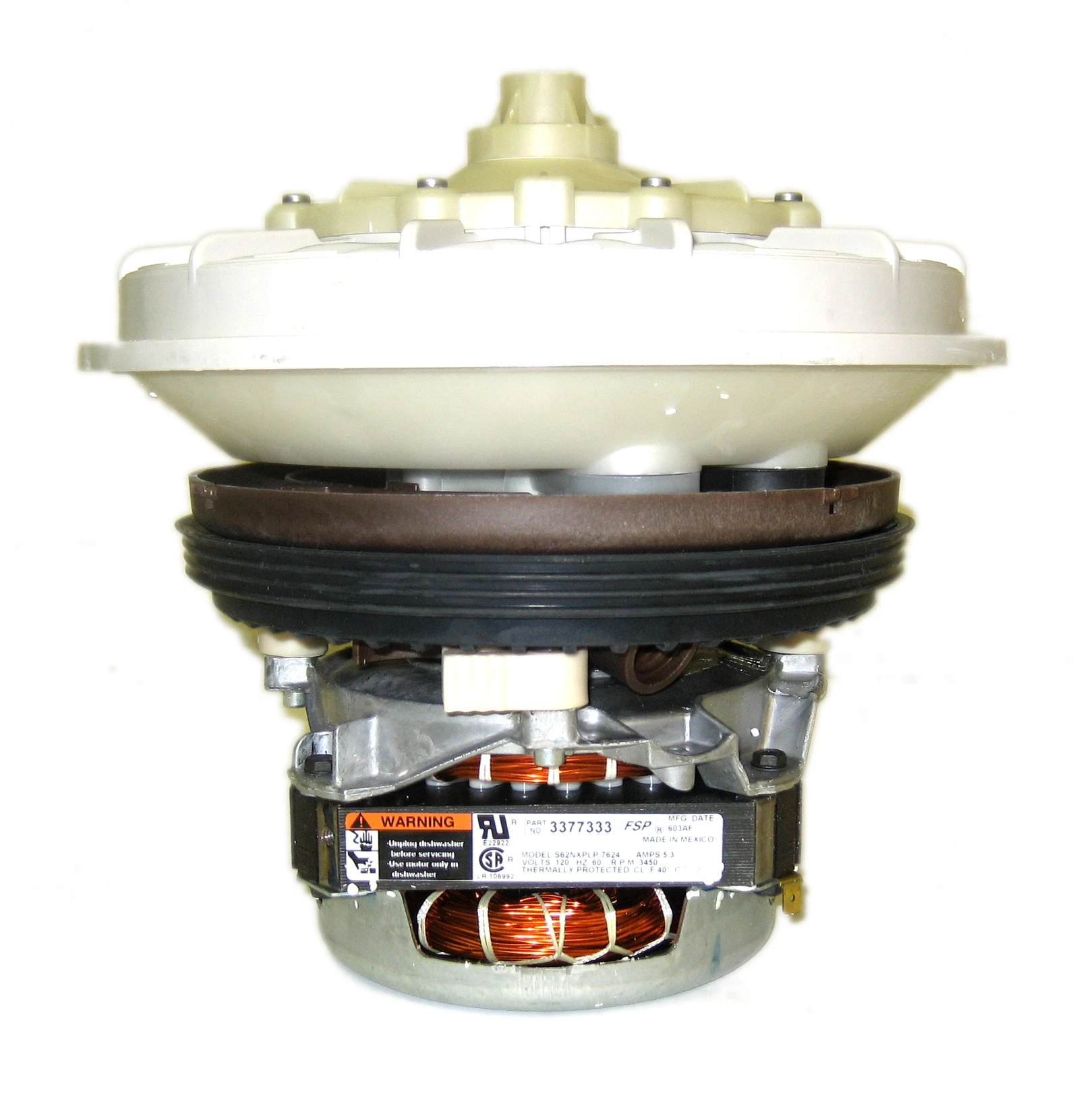 Pump and Motor