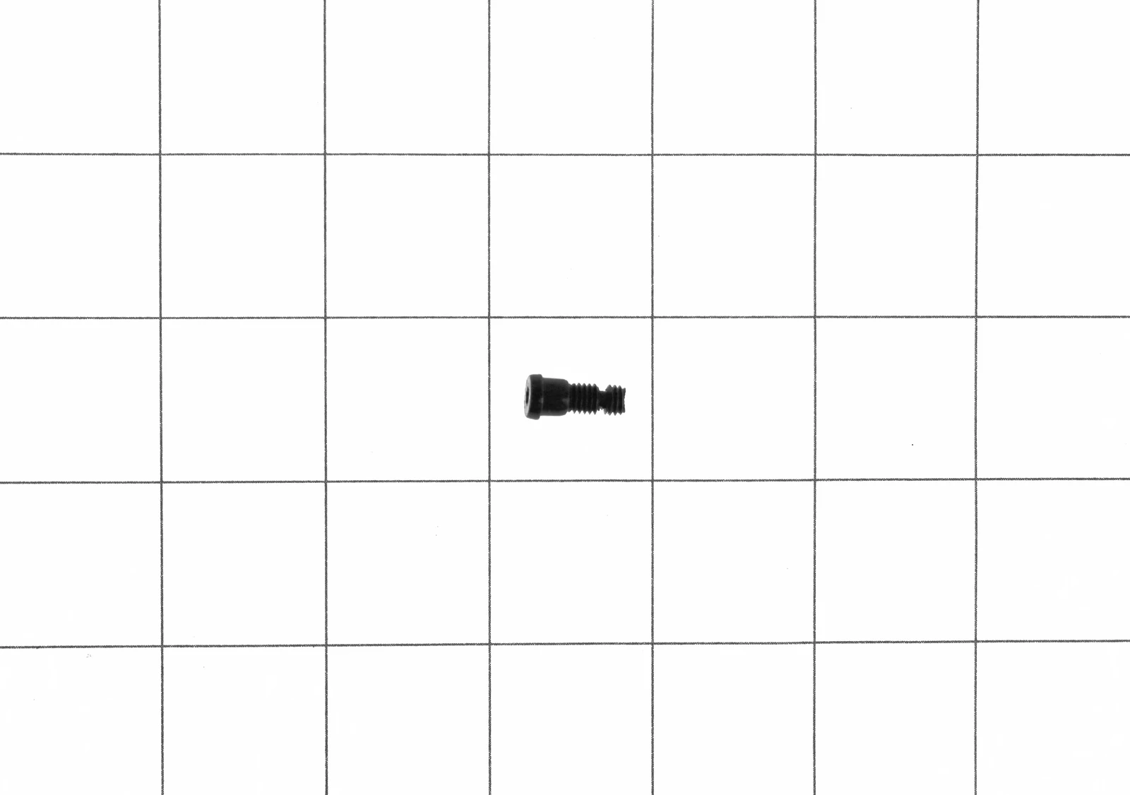 Door Hinge Screw