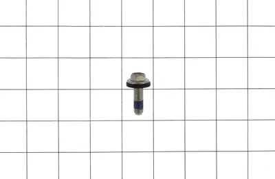 Washplate Screw