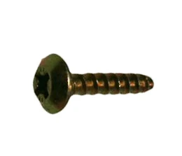 Screw