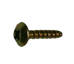 Screw