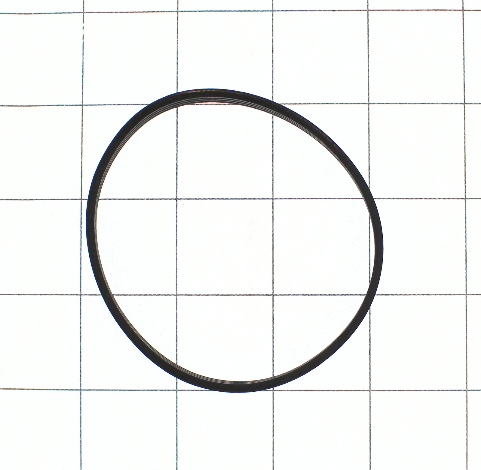 Belt Assembly