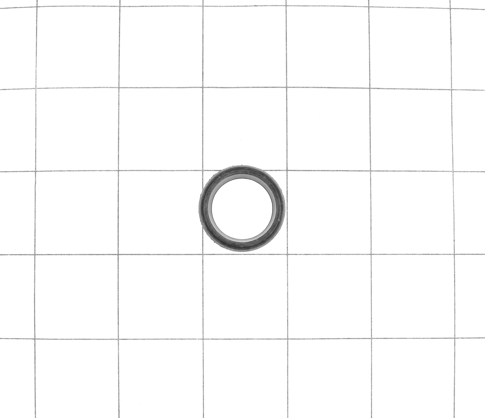 Shaft Seal