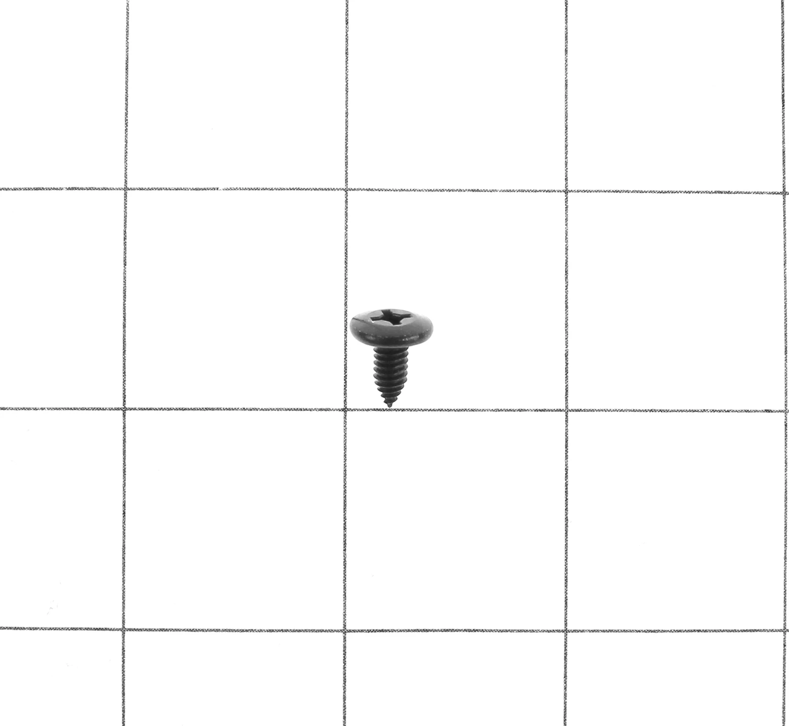 Ground Screw