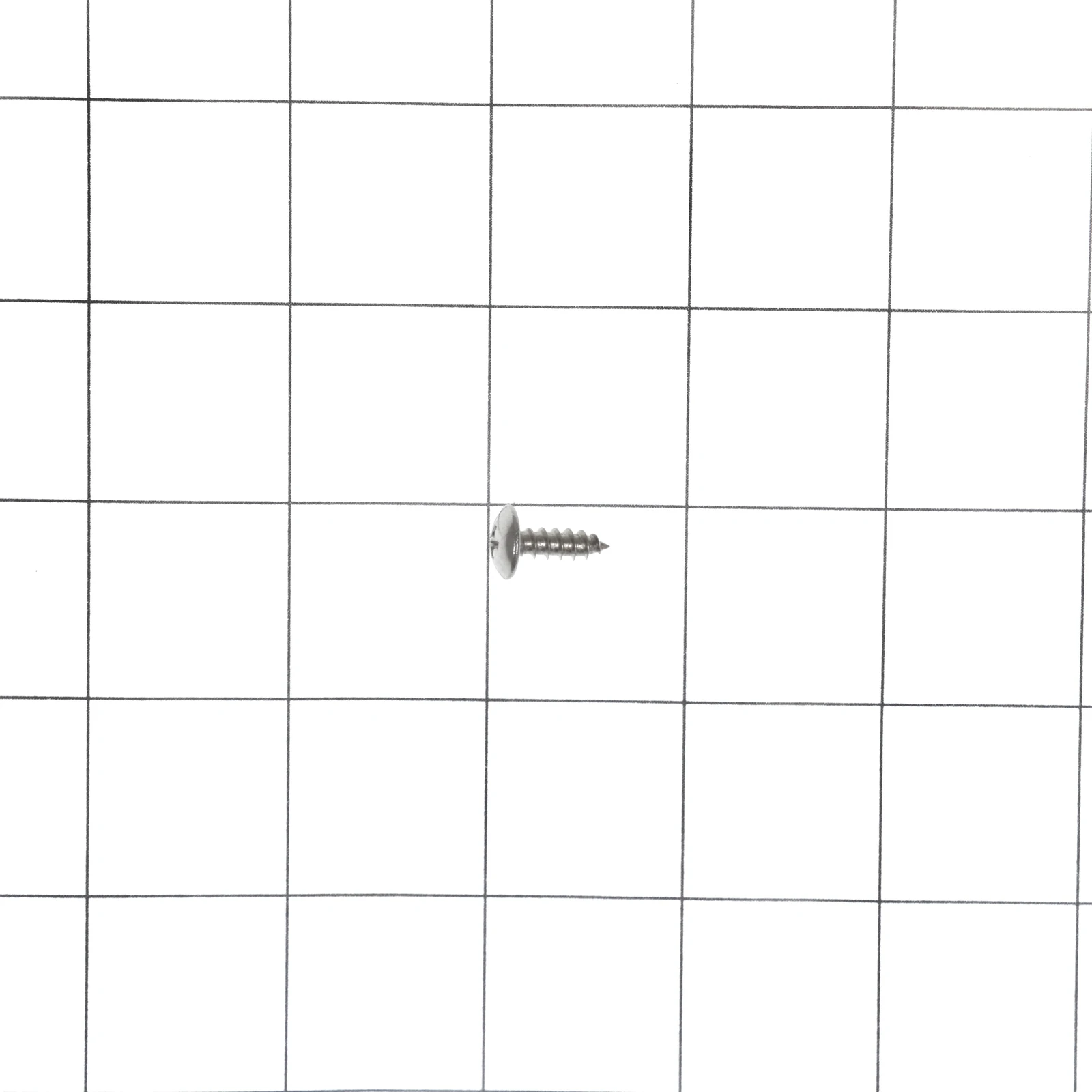 Door Screw