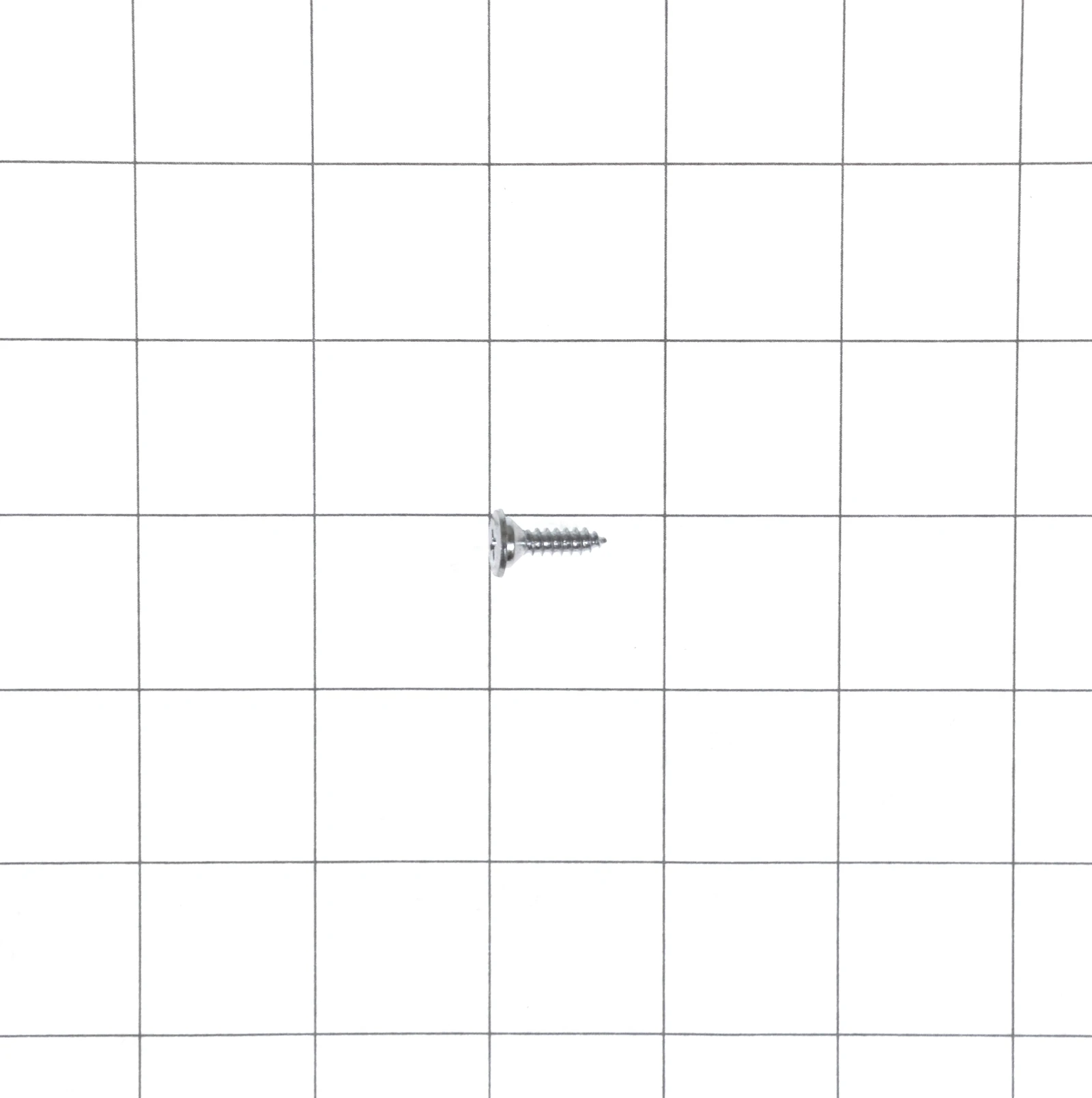 Recessed Screw