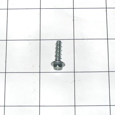 Screw