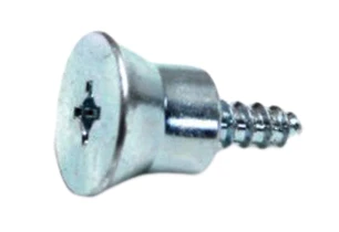 Screw