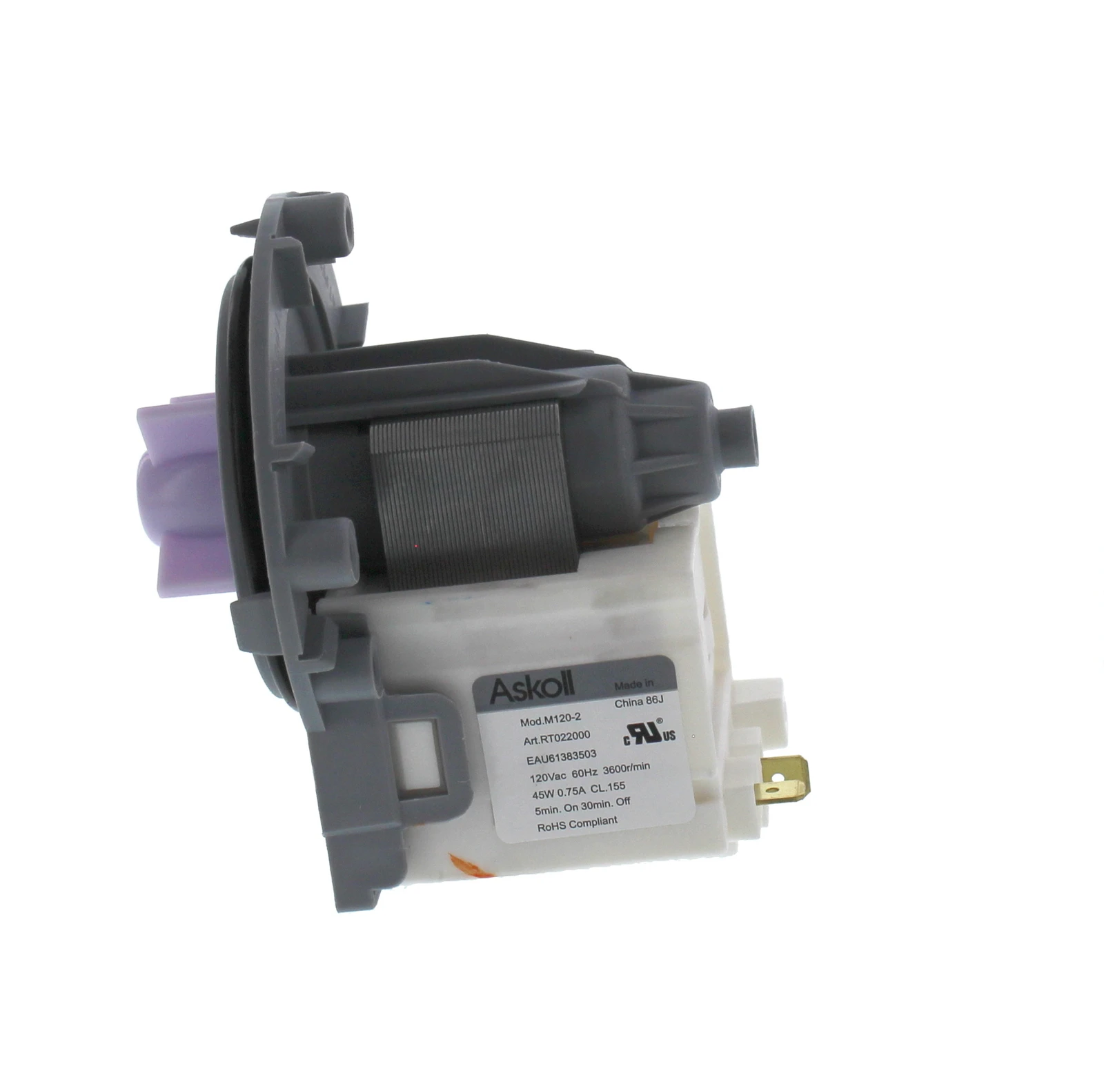 Circulation Pump Motor