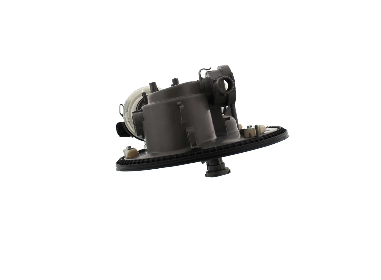 Pump and Motor