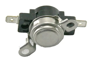 Thermal Fuse