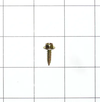 Screw