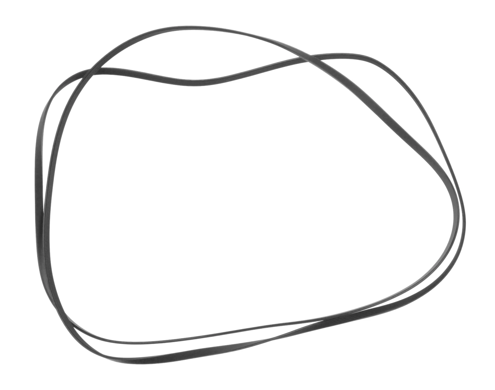 Drum Belt