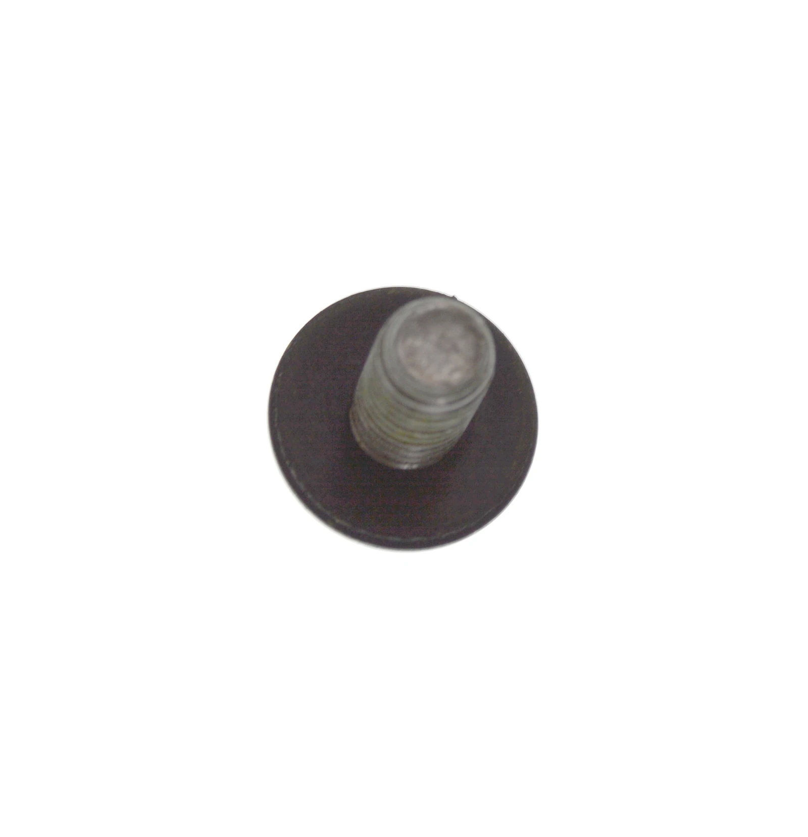 Screw With