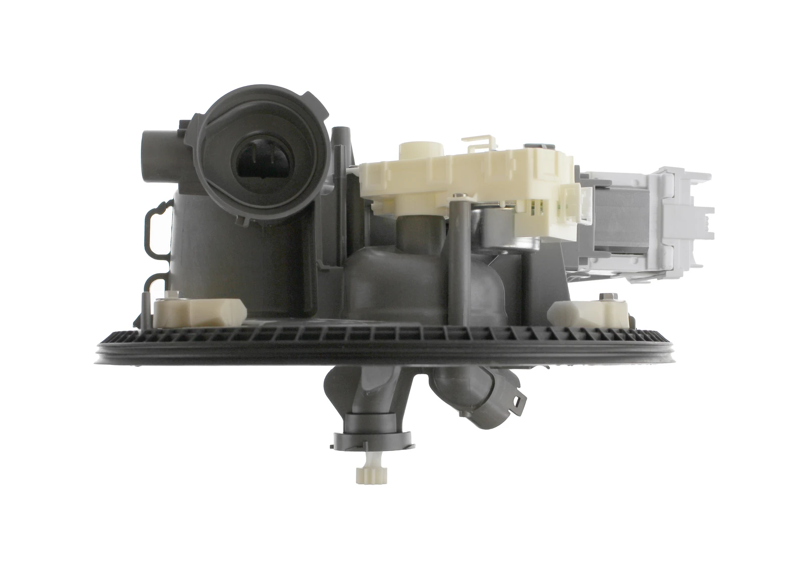 Pump and Motor