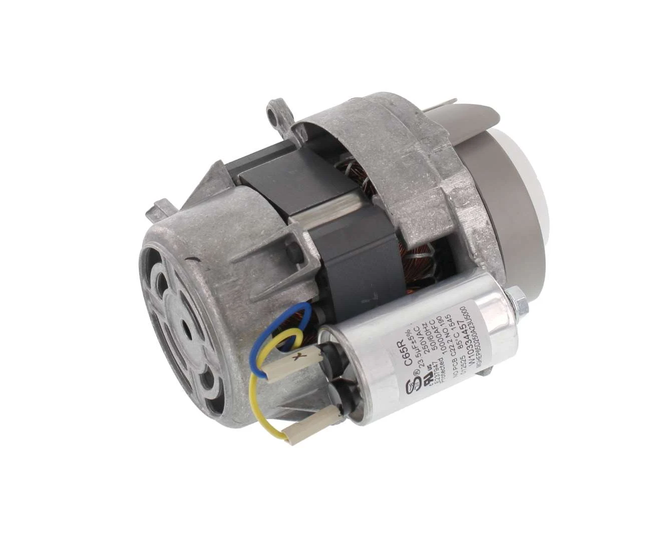 Pump Motor