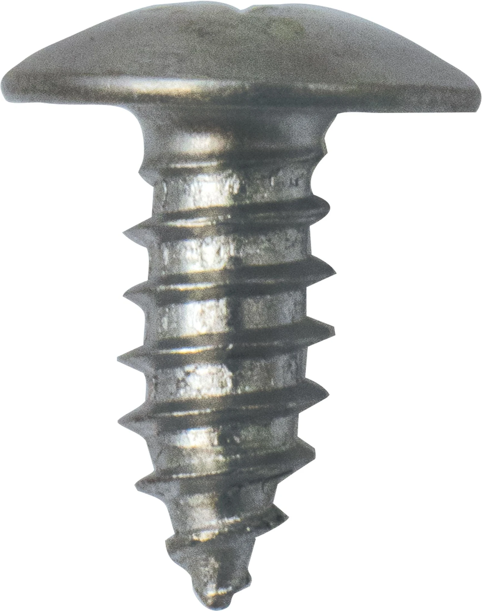 Screw
