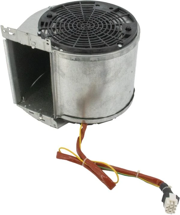 Motor Assembly