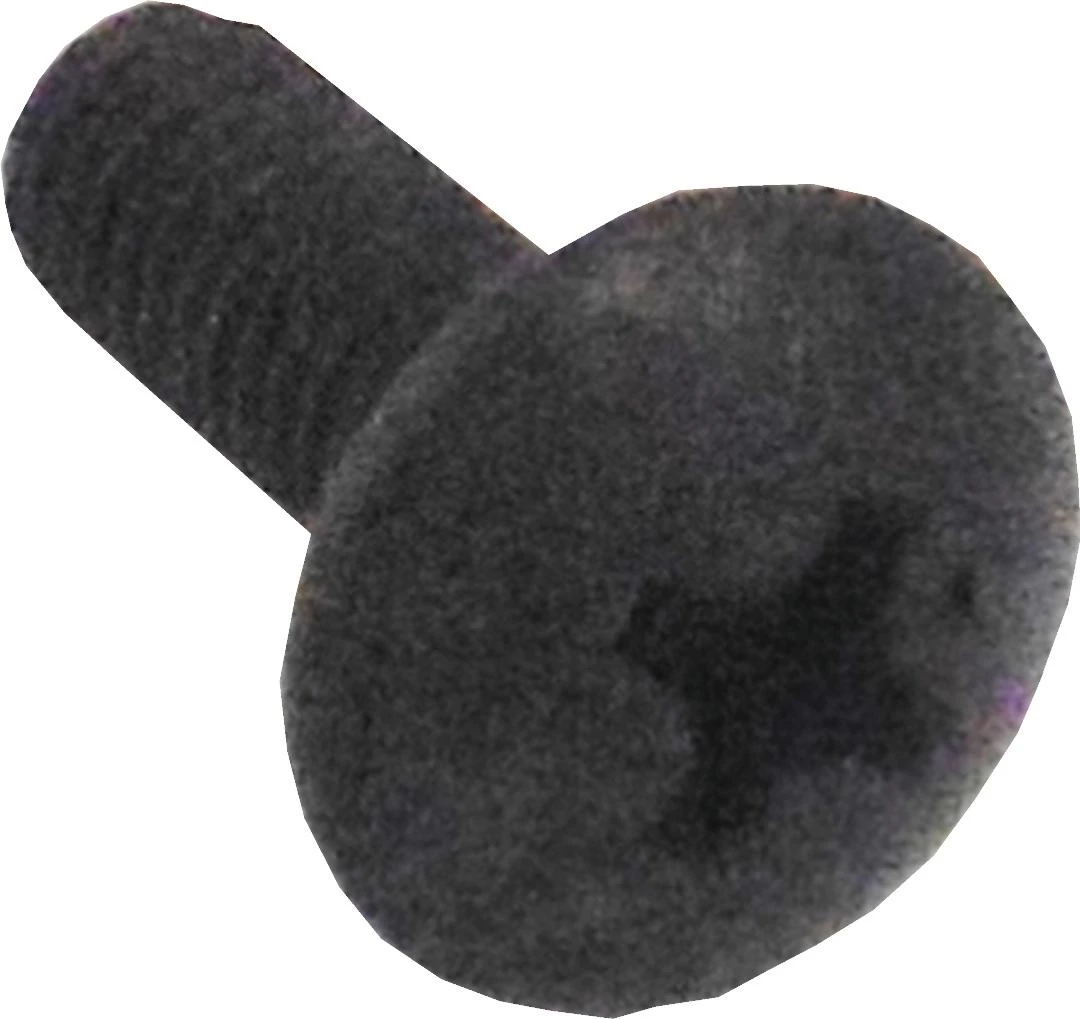 Screw