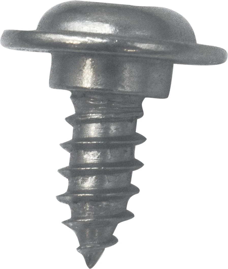 Screw, #8 Type AB T20 PH SH SS/NK Coat