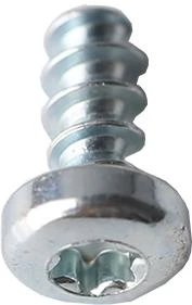 Screw