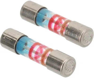 Fuse T 1,25 A