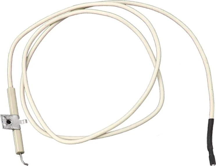 Electrode