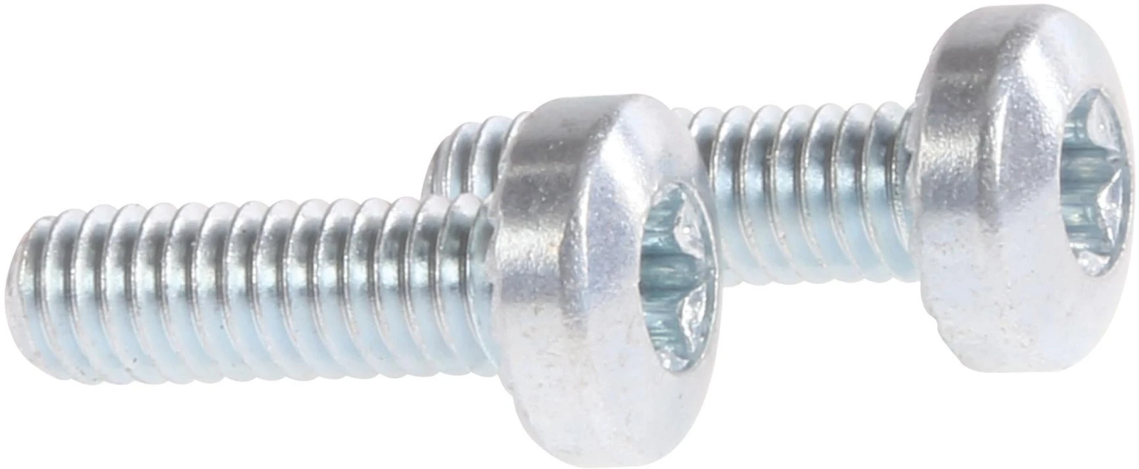Screw M4x12 Torx Inox Lensehead (2 Pieces)
