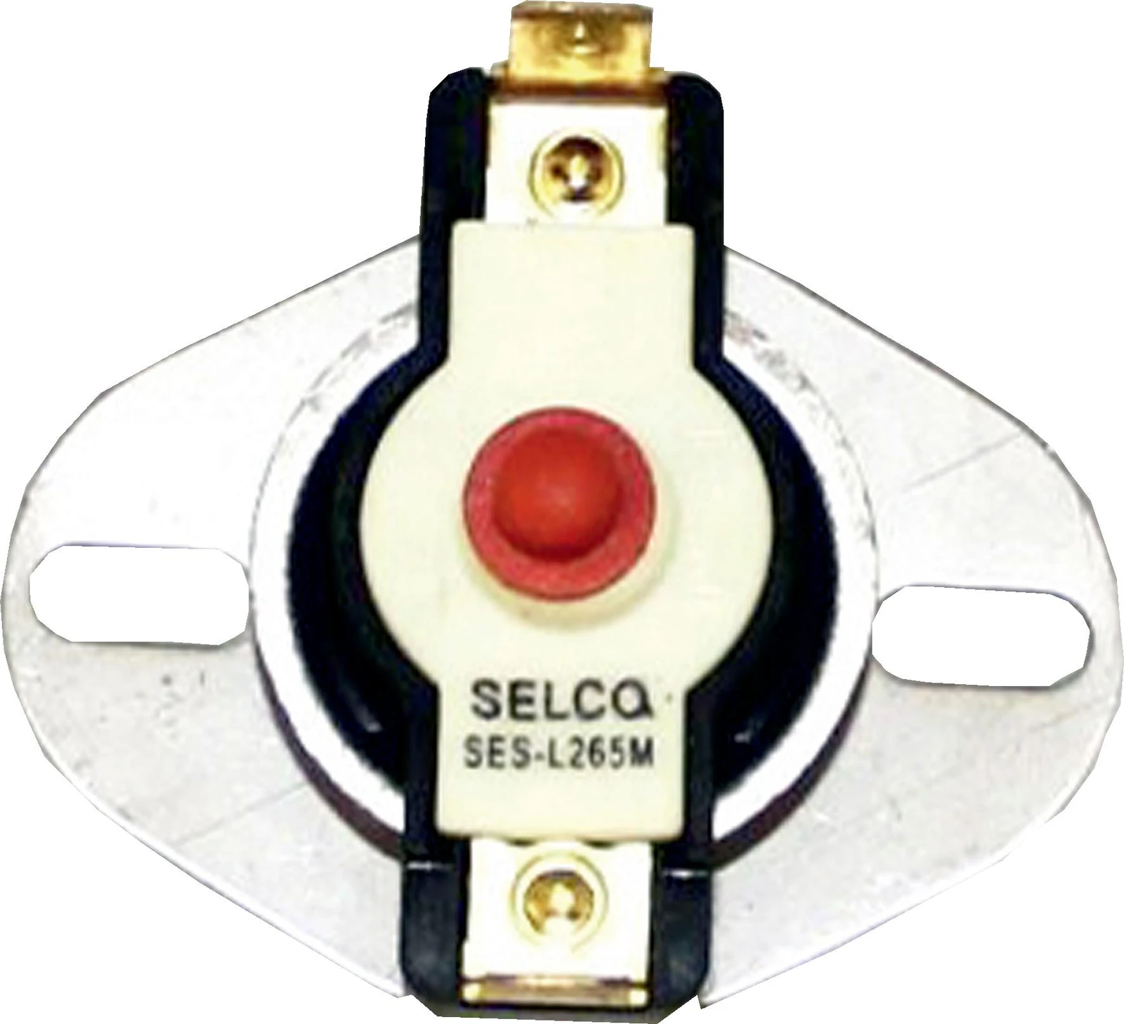 Thermal Fuse