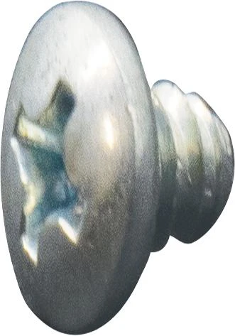 Screw