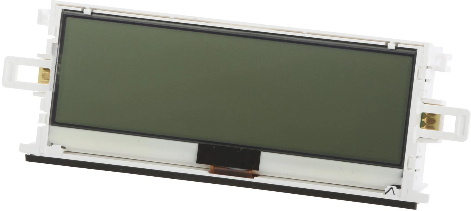 Display Module