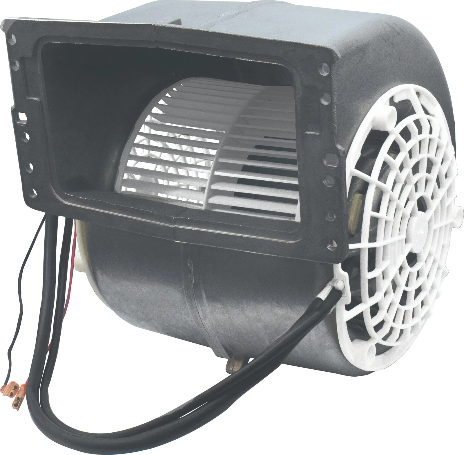 Fan Motor