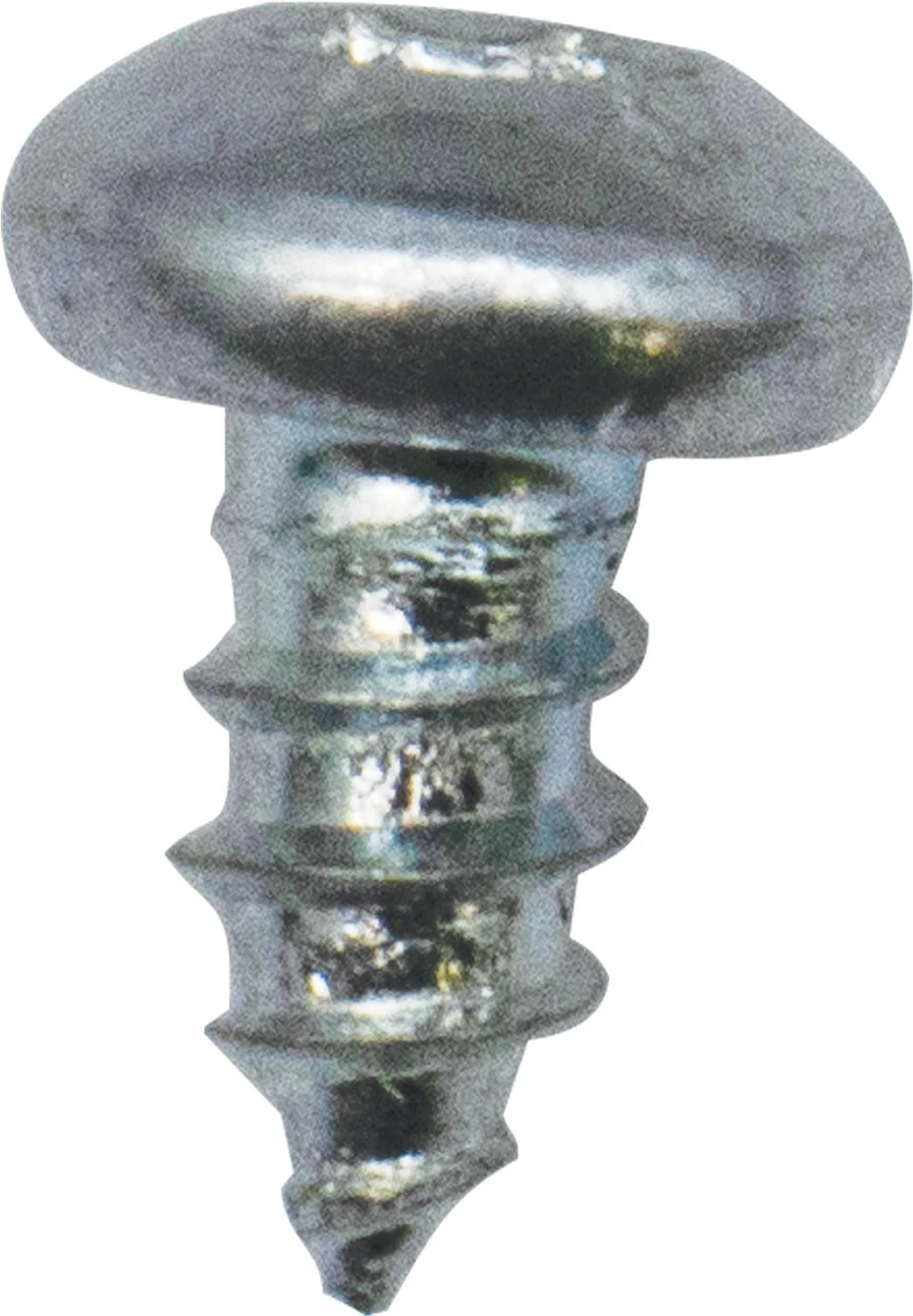Screw