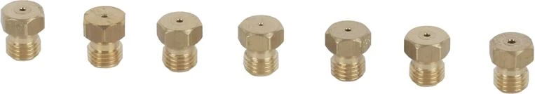 Nozzle Set Liquid Gas Bolsa Juego Inyect.NG-36" Bsi