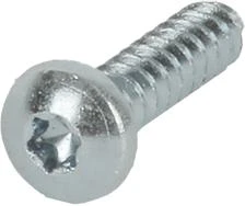 Screw 4,8x19 T20 Wo/P ZN