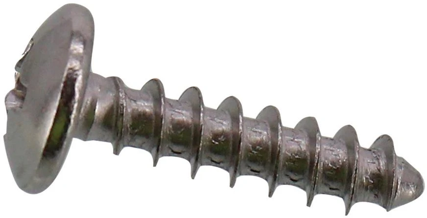 Screw, 4x17, Stainless, Phillips