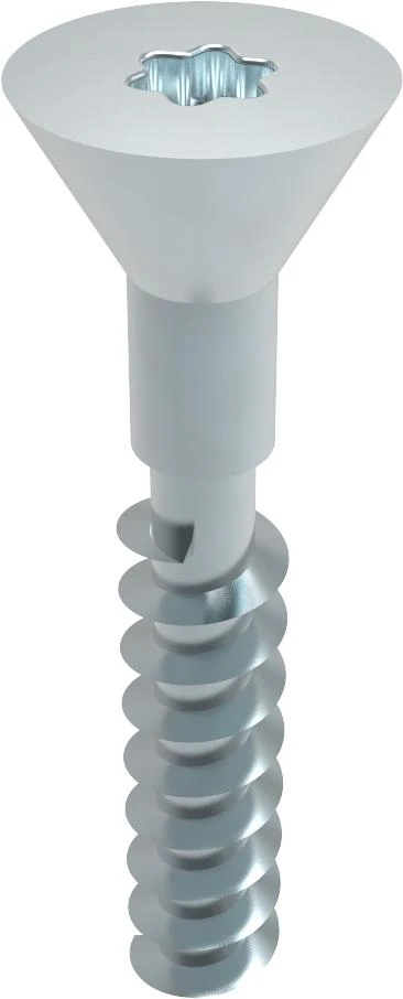 Screw Motor