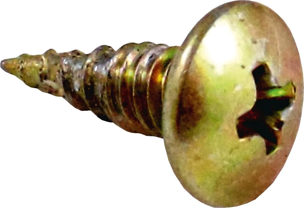 Screw