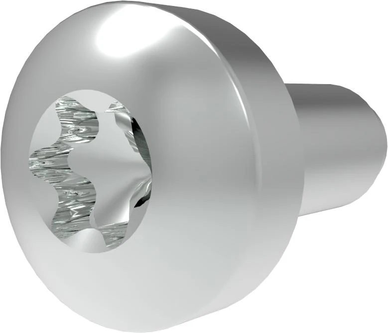 Hex Screw M5x12 T25