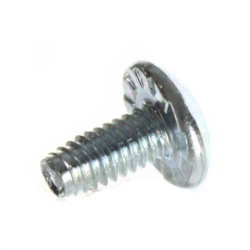 Laptop Screw