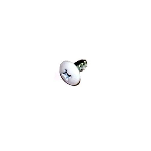 Customized Drawing Screw