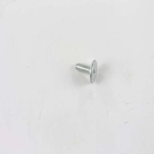 Screw