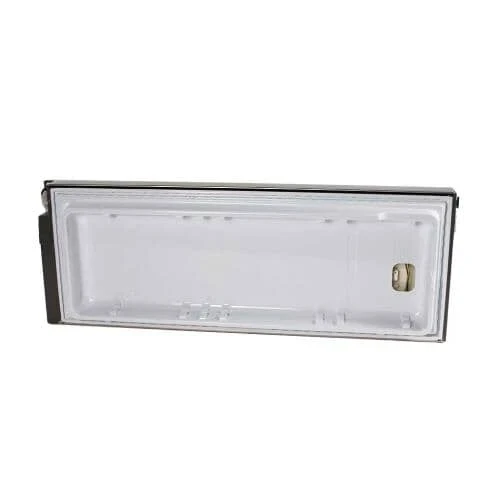 Door Foam Assembly