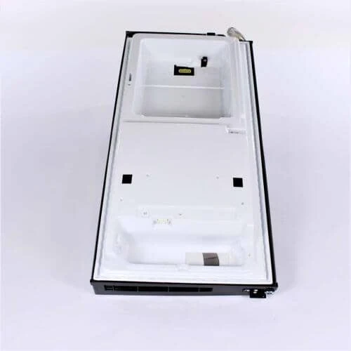 Door Foam Assembly