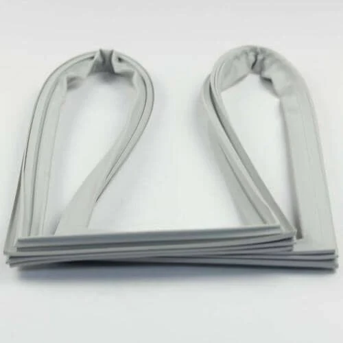 Gasket Assembly Door
