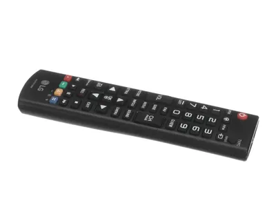 Remote Controller Assembly