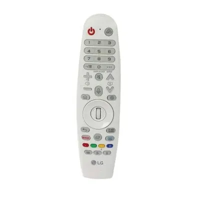 Remote Controller Assembly