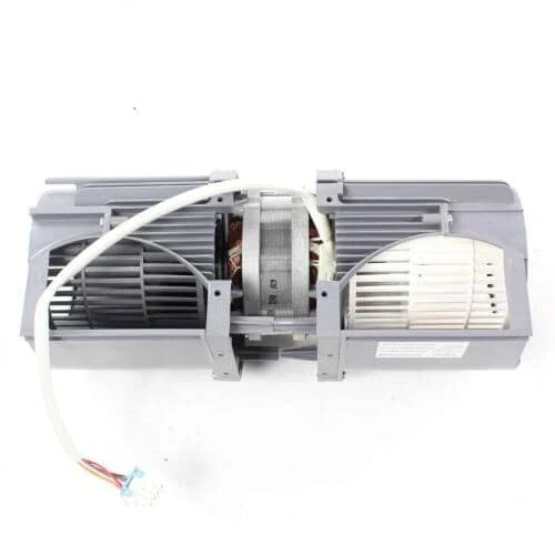 Motor Assembly